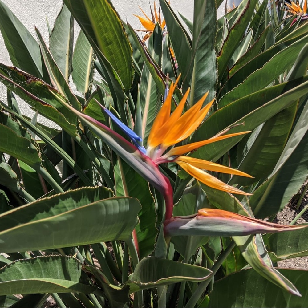 Meet your Posher, Ellen